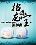 招龙进宝