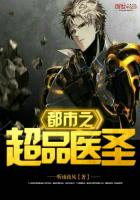 邪王难宠,医妃难逑