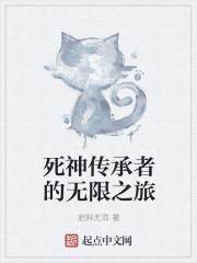 死神传承者的无限之旅
